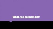 English powerpoint: What can animals do?
