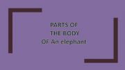 English powerpoint: PARTS OF AN ELEPHANT