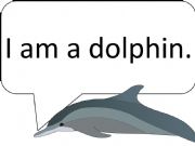 English powerpoint: Dolphin reading