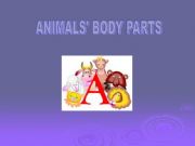 English powerpoint: Animal parts