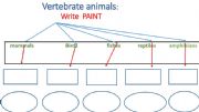 English powerpoint: vertebrate animals examples 