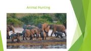 English powerpoint: Animal Hunting