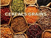 English powerpoint: Cereals