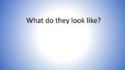English powerpoint: What do they look like?