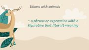 English powerpoint: English Idioms : Animal theme