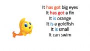 English powerpoint: Have got, to be, can