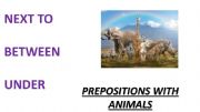 English powerpoint: Prepositions with animals