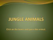 English powerpoint: guess picture animals