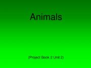 English powerpoint: Animals, A1 A2 fun game