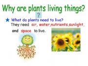 English powerpoint: Plants_part 1