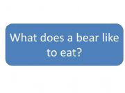 English powerpoint: What do bears like to eat comprehension