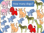 English powerpoint: How many and what colour animals