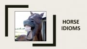 English powerpoint: Horse Idioms