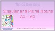 English powerpoint: Singular and Plural Nouns