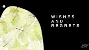 English powerpoint: Wishes and Regrets