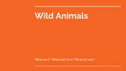 English powerpoint: Wild Animals