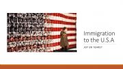 English powerpoint: Immigration to the USA/ Joy or tears