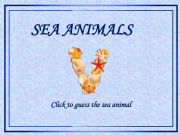 English powerpoint: Sea Animals