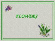 English powerpoint: Flowers