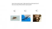English powerpoint: Animal Lesson Lead-In Activity