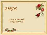 English powerpoint: Birds Quiz 2