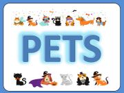English powerpoint: Pets