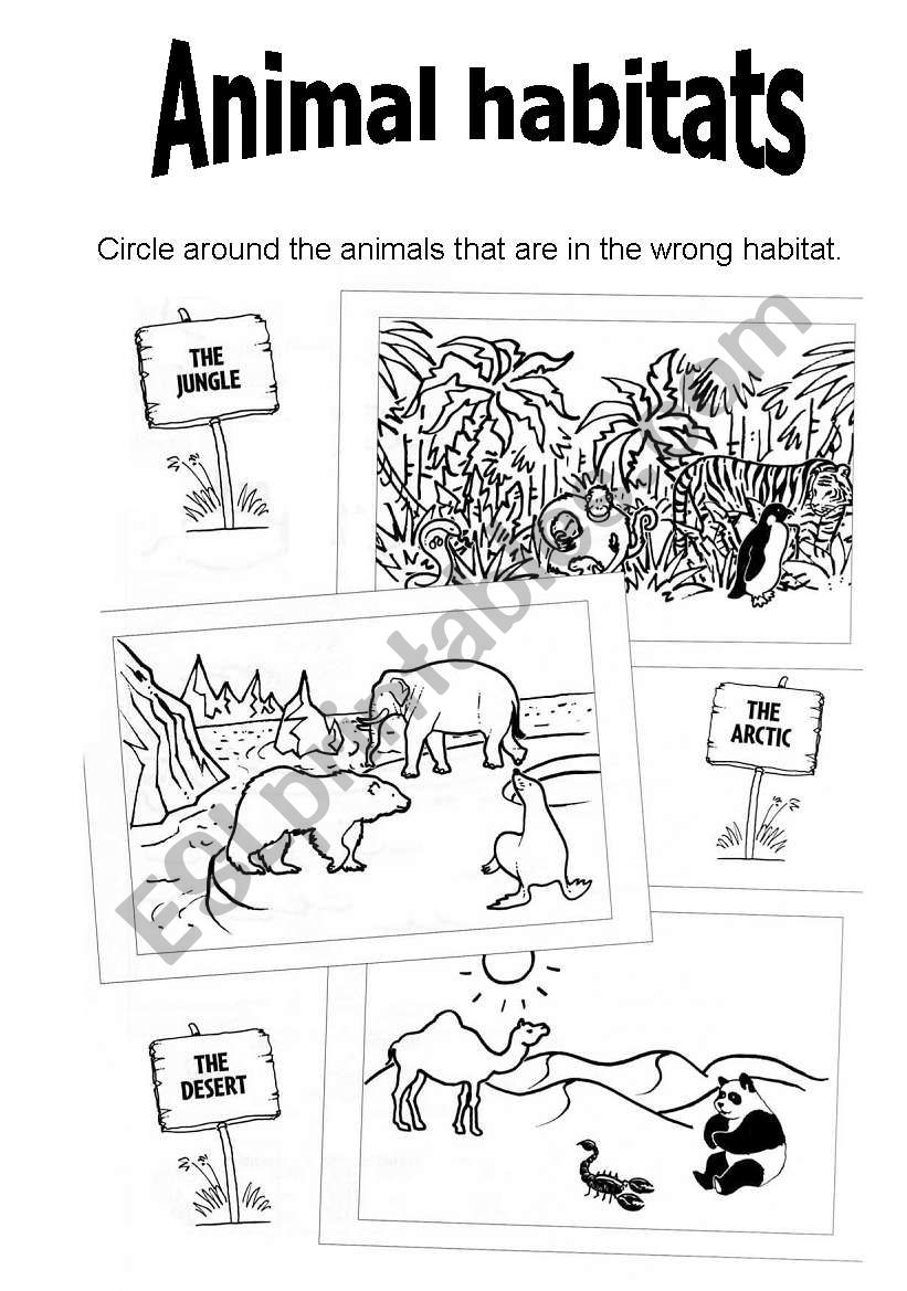 english-worksheets-animal-habitats
