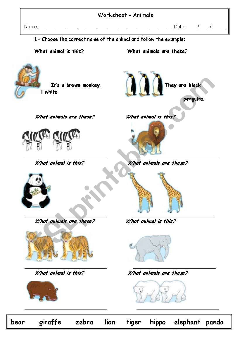 English Worksheets Animals Plural