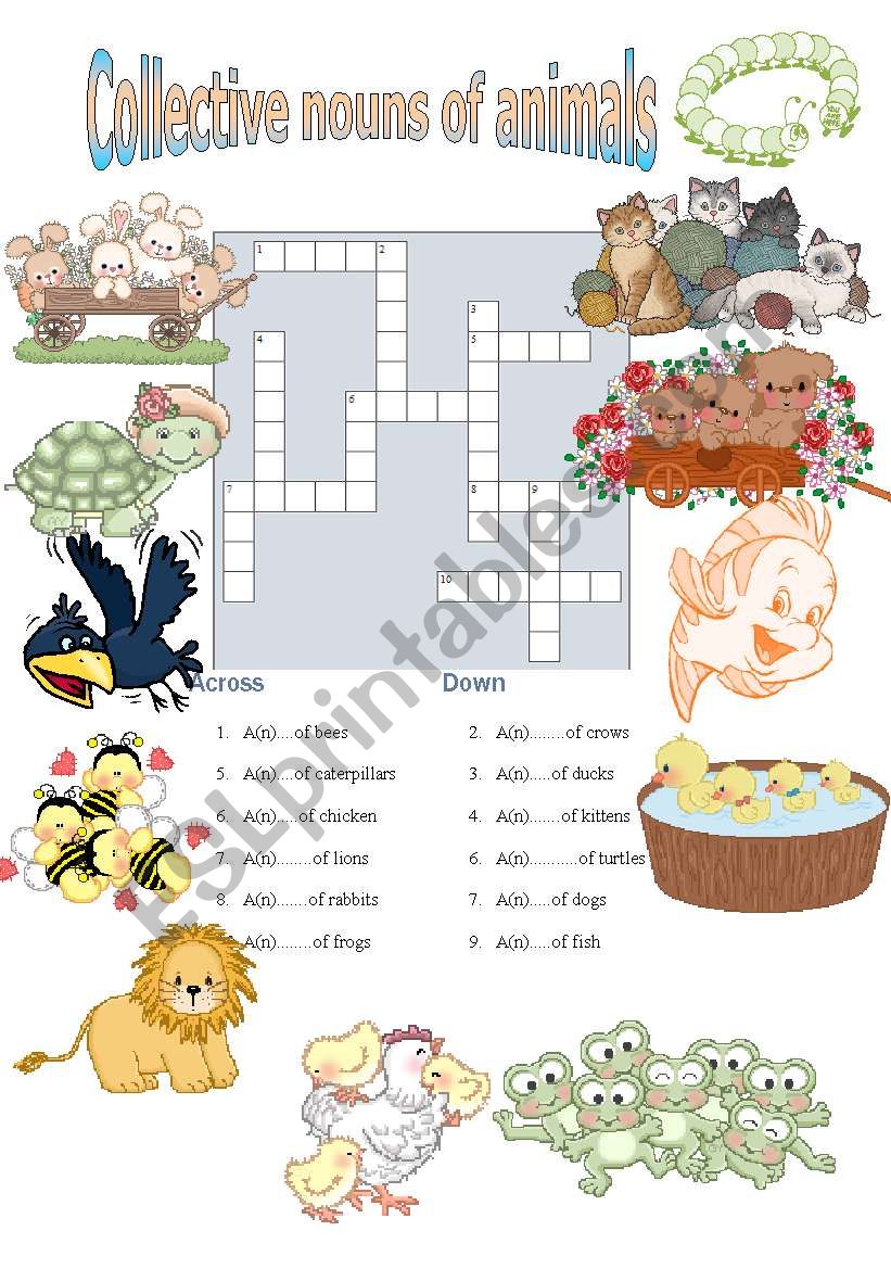 english-worksheets-collective-nouns-of-animals