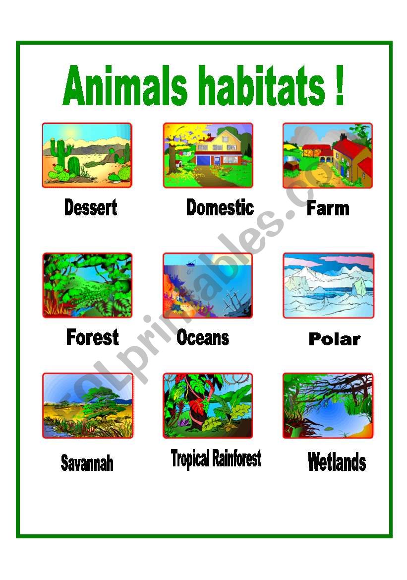 animals-habitats-esl-worksheet-by-aiyana