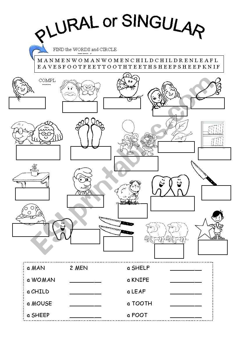 IRREGULAR PLURALS ESL Worksheet By Fabiola Salinas