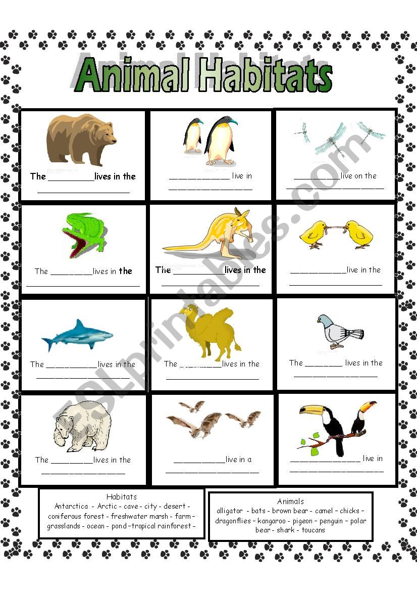 animal-habitats-esl-worksheet-by-anna-p