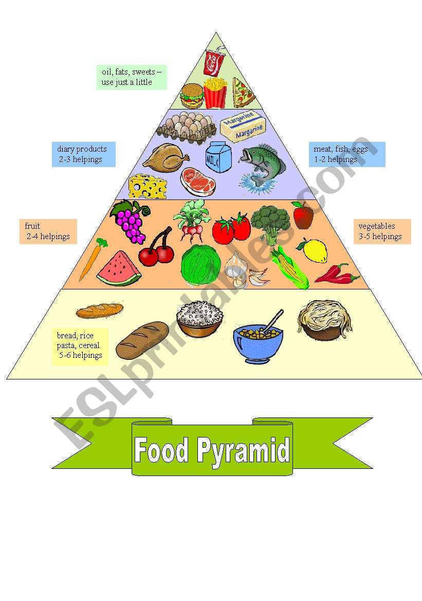 Food Pyramid Worksheet For Kindergarten