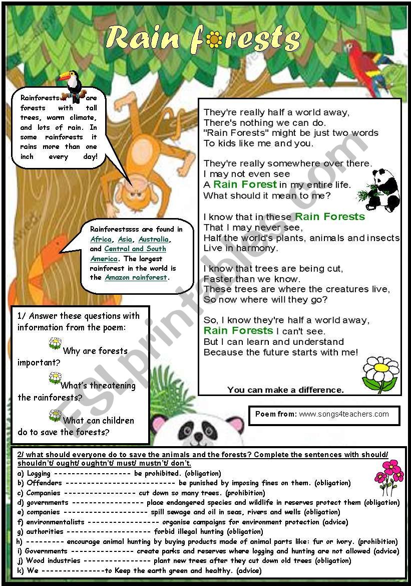 english-worksheets-rainforests