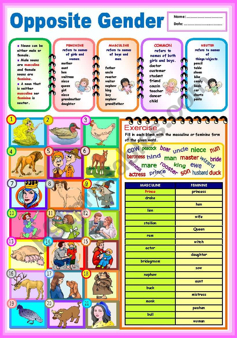 English Worksheets Opposite Gender