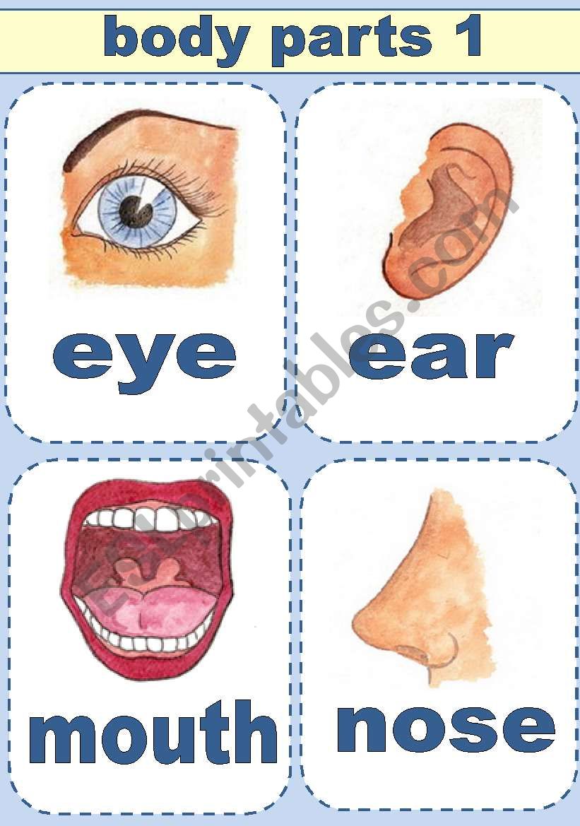 body-parts-flash-cards-part-1-esl-worksheet-by-svetamarik-svetlana