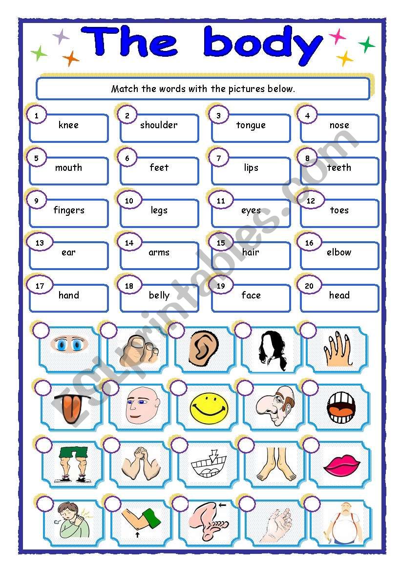 Parts of the body matching ESL worksheet by Silvia33