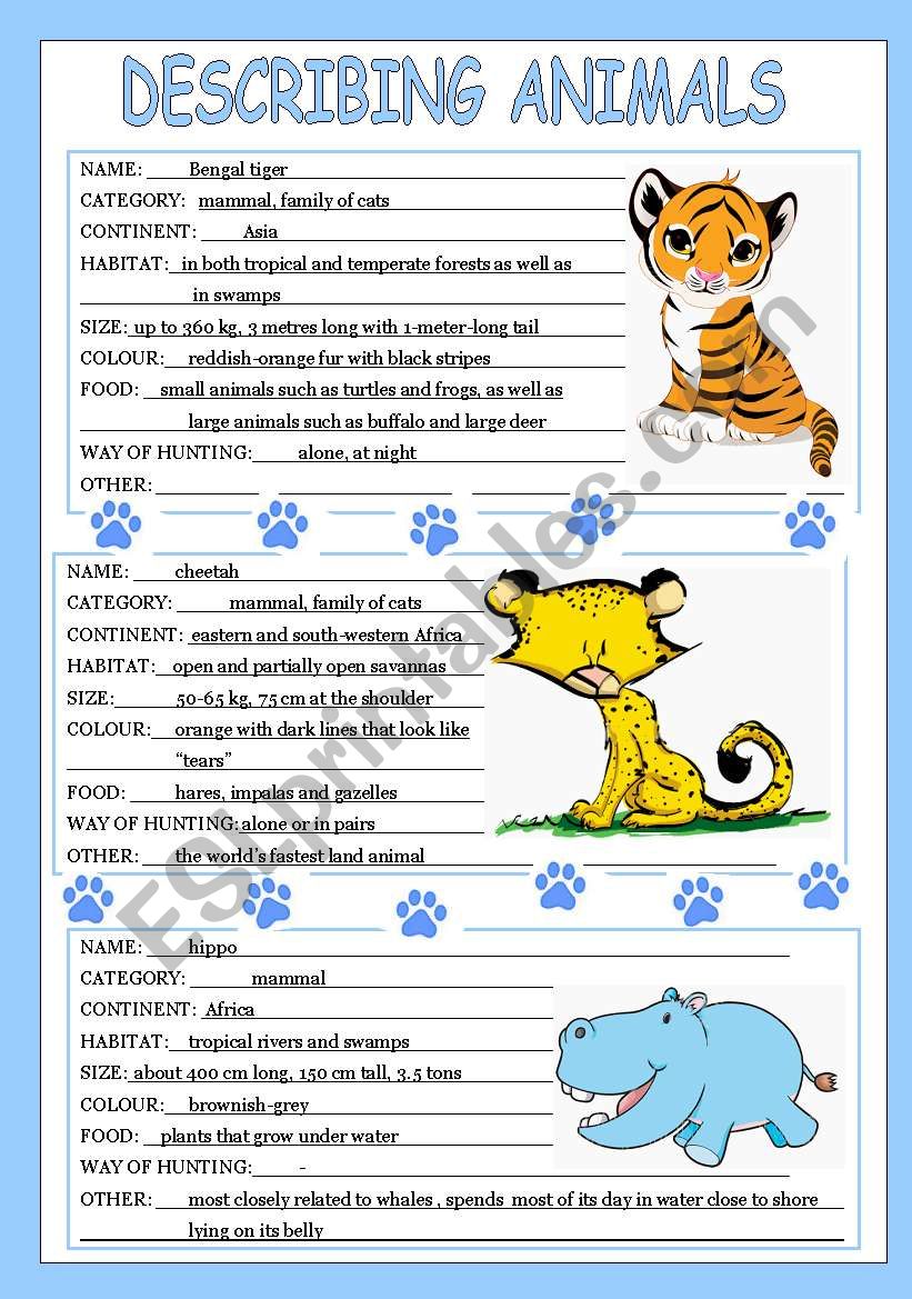 describing animals 2/3 - ESL worksheet by veljaca82