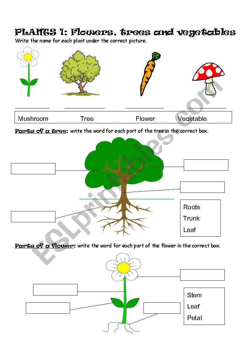 english-worksheets-plants-part-1-flowers-trees-and-vegetables