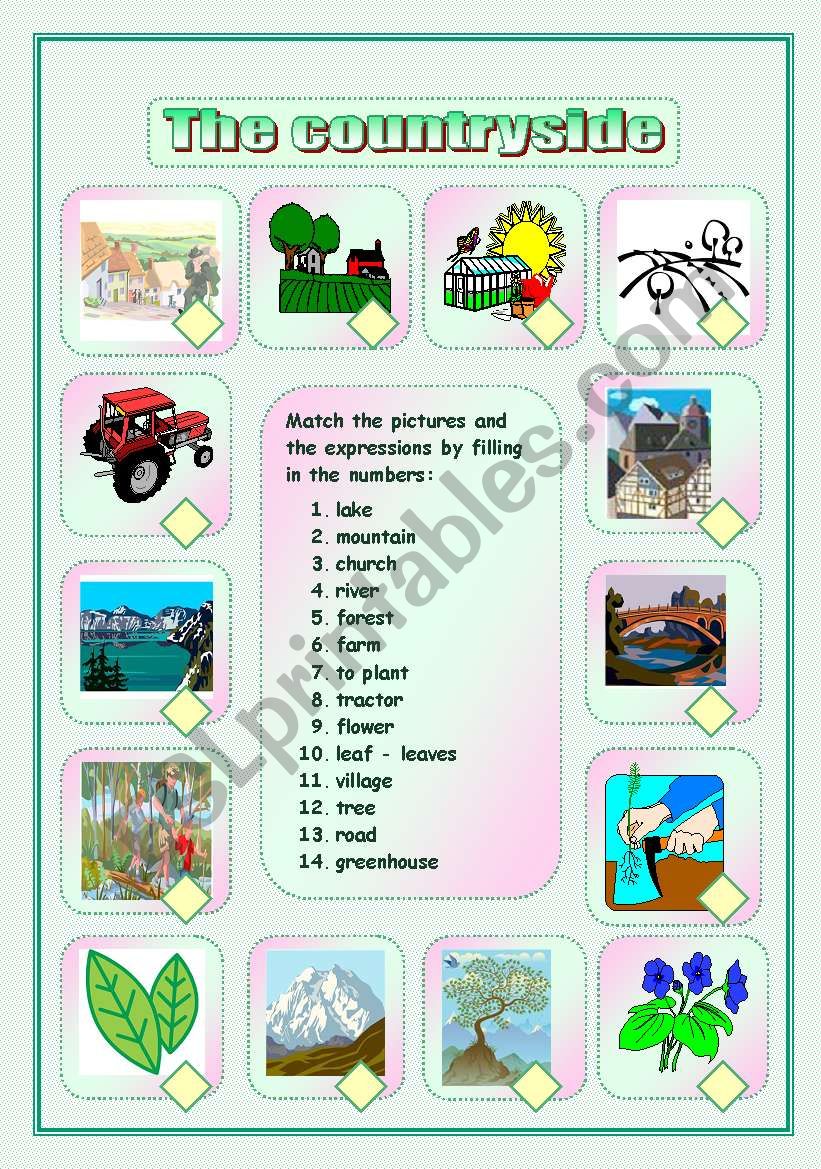 The countryside - ESL worksheet by nofre