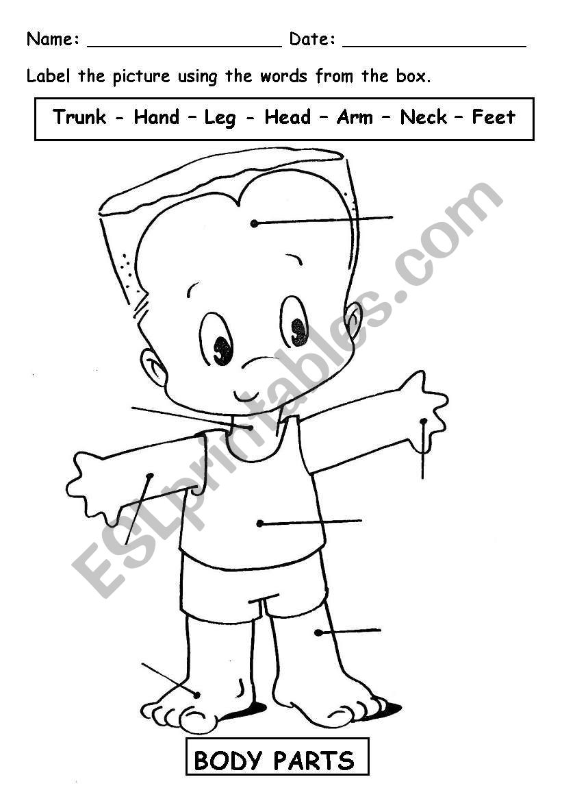 Printable Body Parts Worksheet