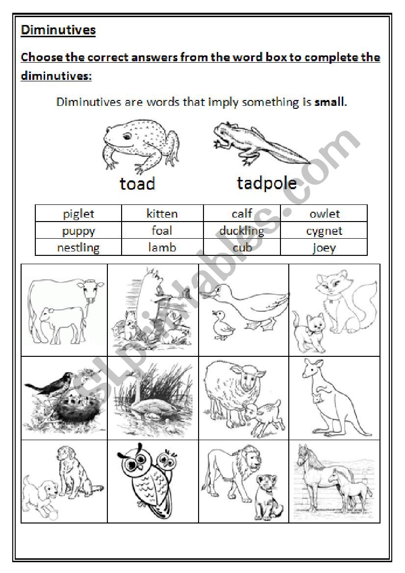 English Worksheets Diminutives