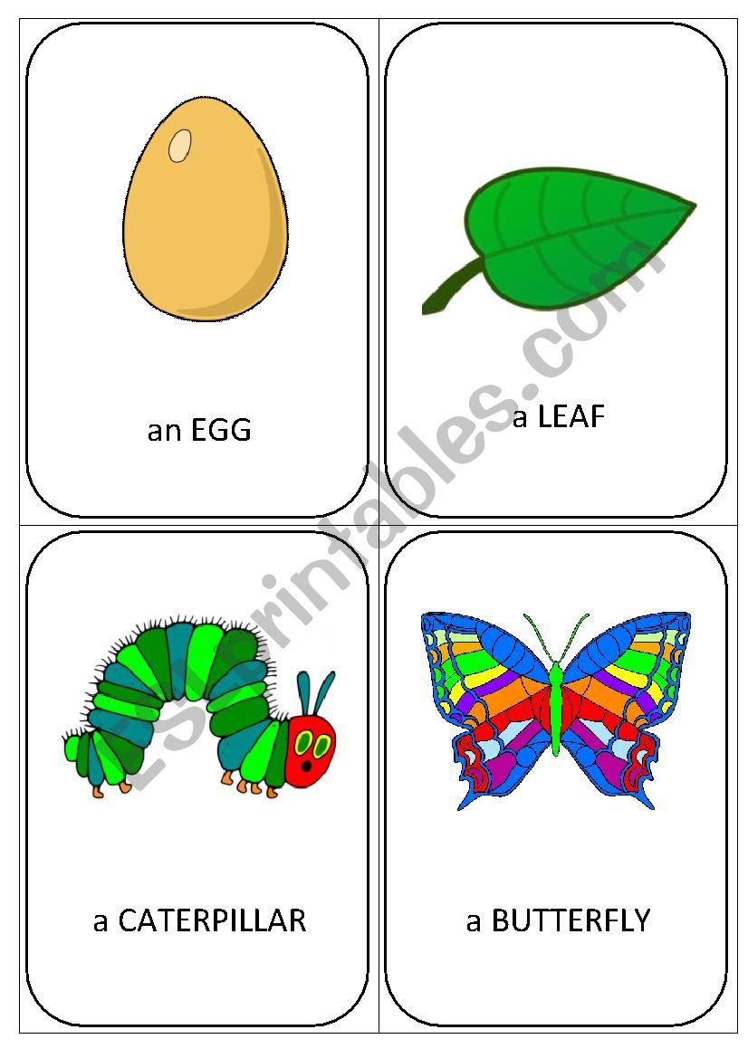 English worksheets The very hungry caterpillar FLASHCARDS