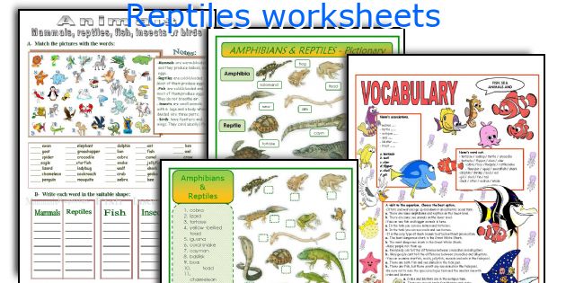English teaching worksheets: Reptiles