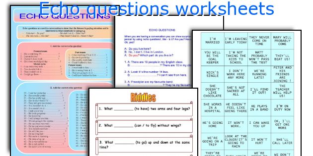 echo-questions-worksheets