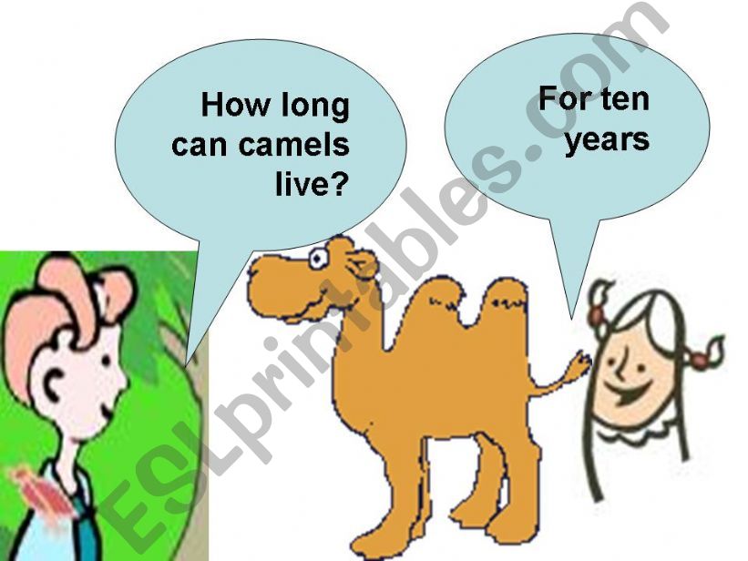 ESL - English PowerPoints: using can/ could / will be able to