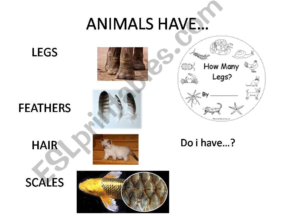 ESL - English PowerPoints: What is He/She doing?