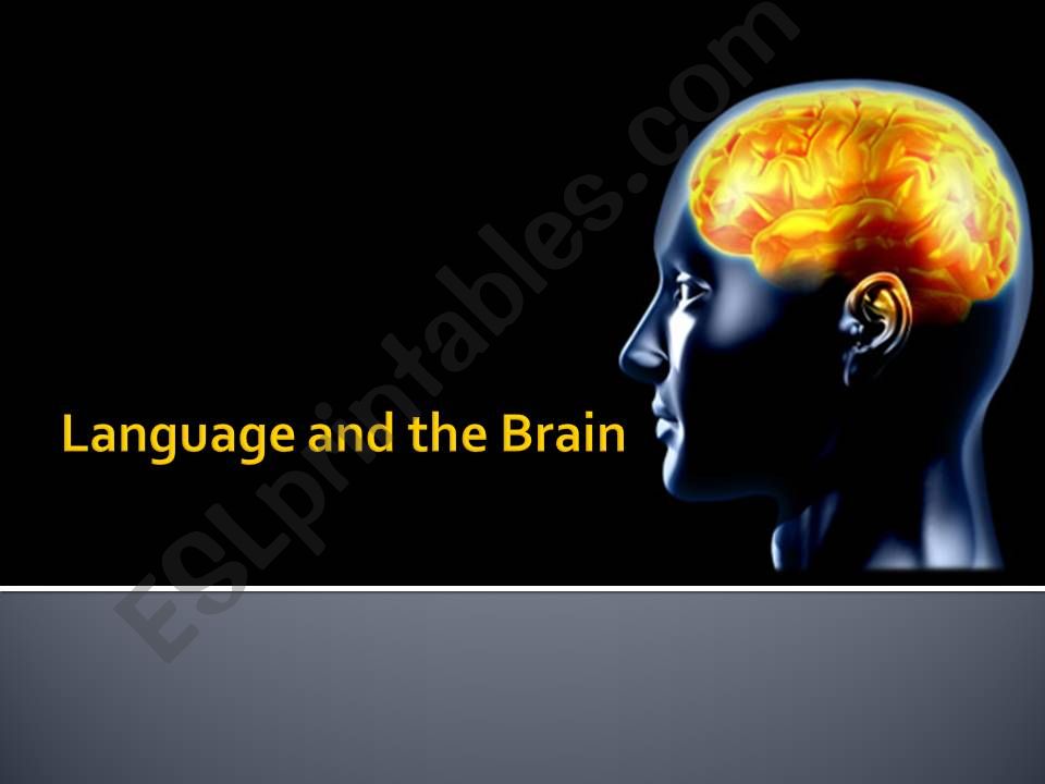 ESL - English PowerPoints: Language and the Brain