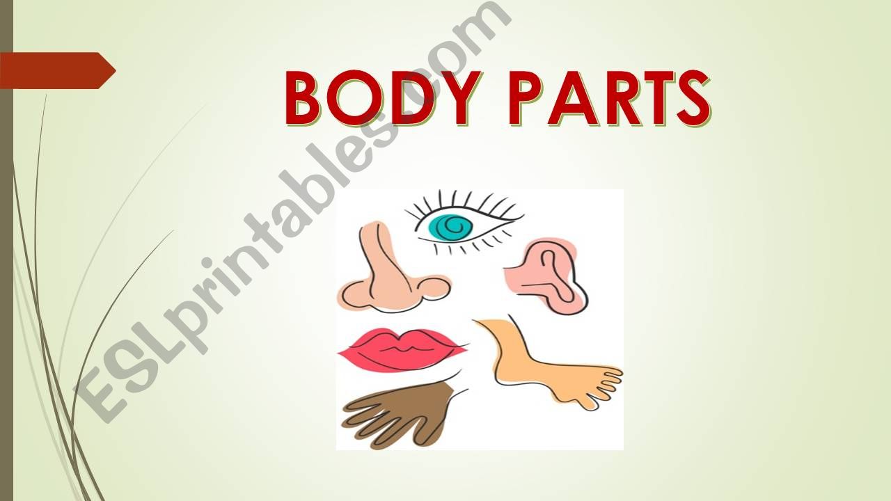 ESL - English PowerPoints: Body Parts