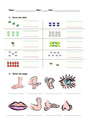 English Worksheet: numbers and body
